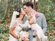 Would you have your dog in your wedding?