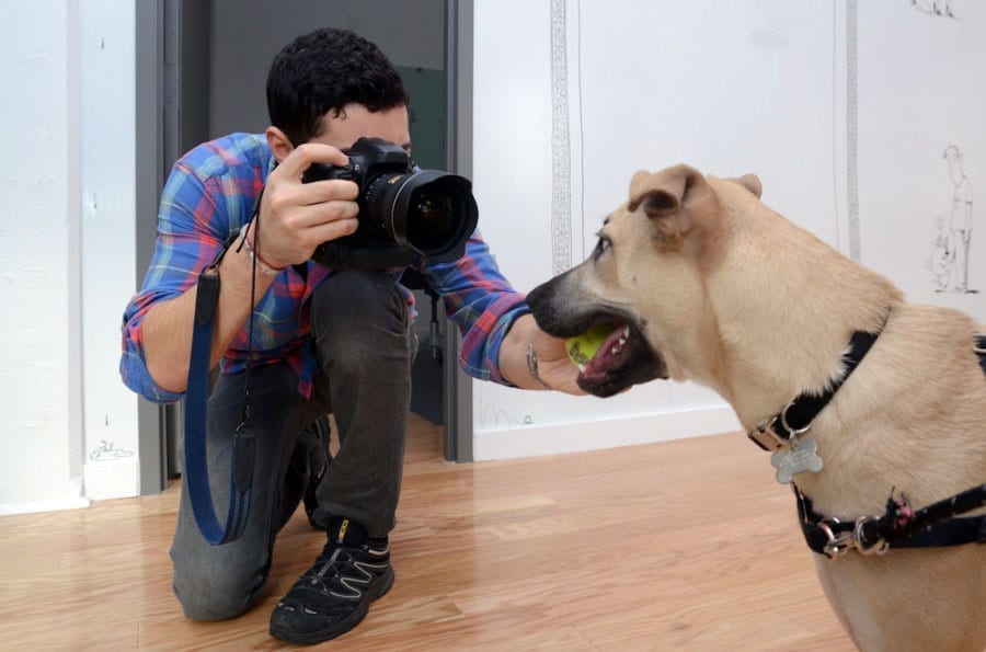 How to Take Great Pet Photography
