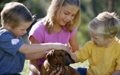 Helping Children Cope With Pet Loss
