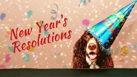 Make New Year’s Resolutions For Your Pet (and You)