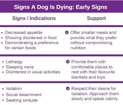 how do you know if dog is dying