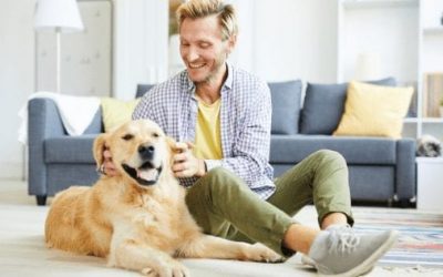 5 Indoor Activities For Dogs That Will Keep Them Busy