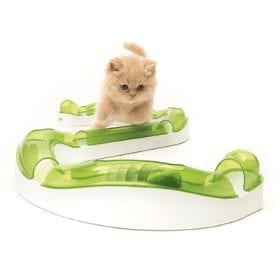 Fun Interactive Toys For Cats
