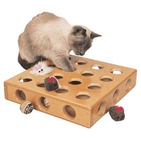 Fun Interactive Toys For Cats