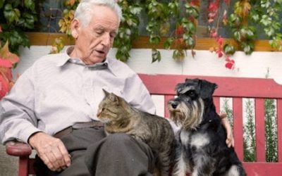 Mental Health and the Power of Pets