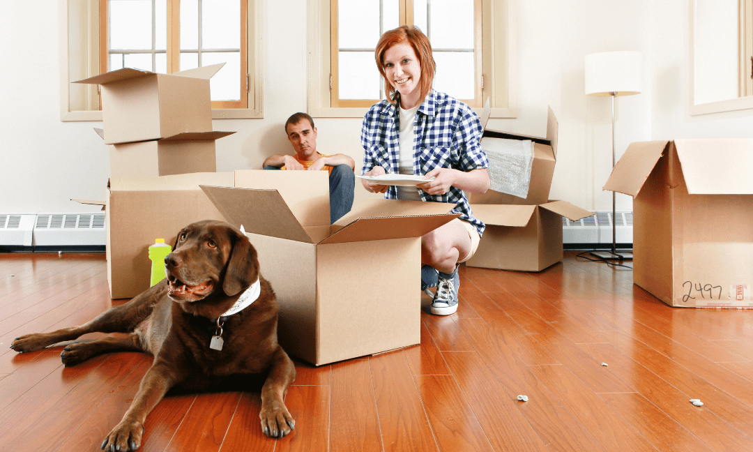 Tips For Moving House With Pets