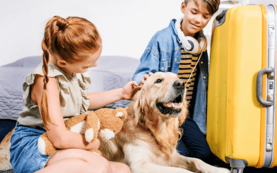 Tips To Enjoy Holiday Travelling With Pets
