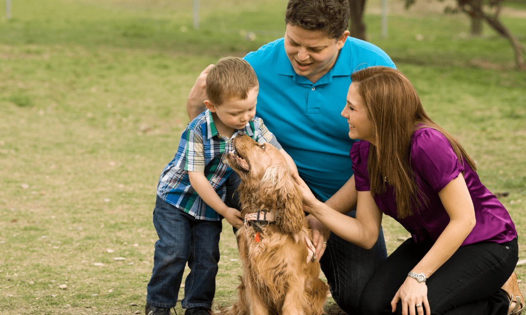 Coping With Losing A Pet: How To Do It As Family