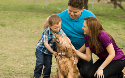 Coping With Losing A Pet: How To Do It As Family