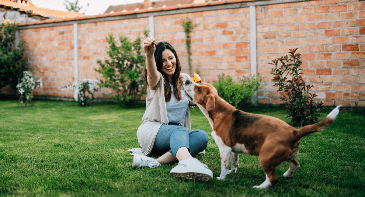 Burying Pet In The Backyard, Why This Option Is Not Safe | Pet Angel