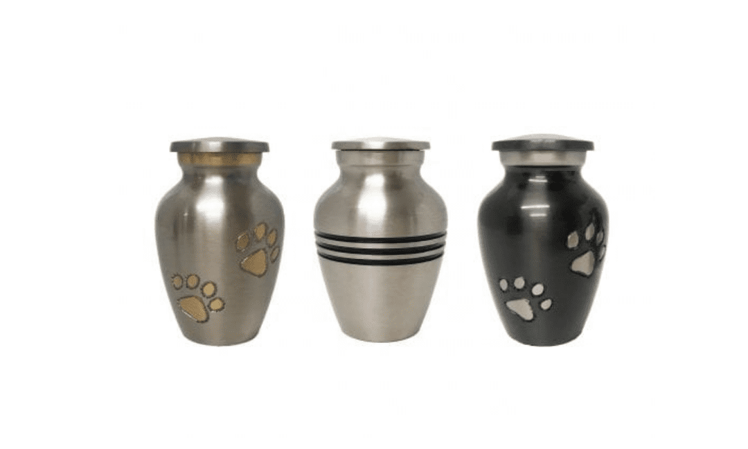 Do You Really Get Your Pet’s Ashes Back