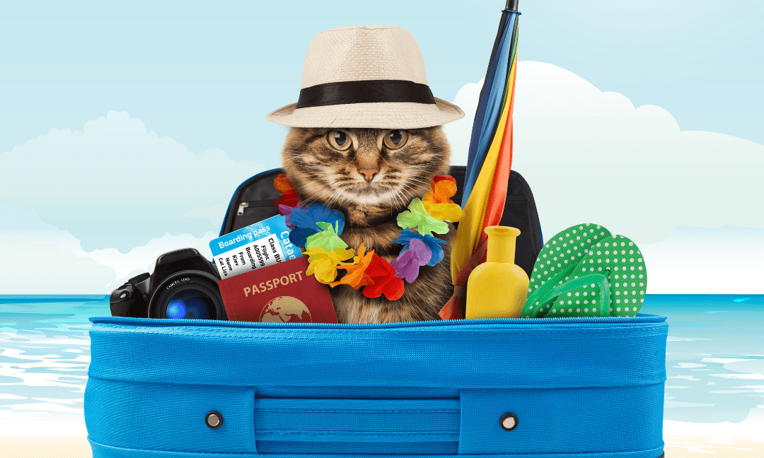 How To Choose The Best Destination For A Pet Friendly Holiday