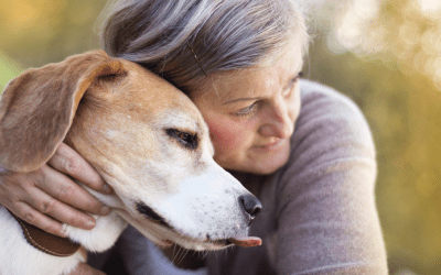 Practical Tips To Consider When Preparing For The Loss Of A Pet