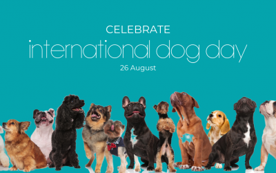 Celebrate International Dog Day (August 26th)