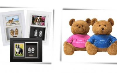 Paw Prints And Teddy Bears Helping Cherish Pet Memories