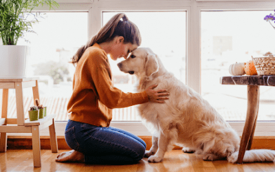 What To Do When A Pet Passes In Your Home