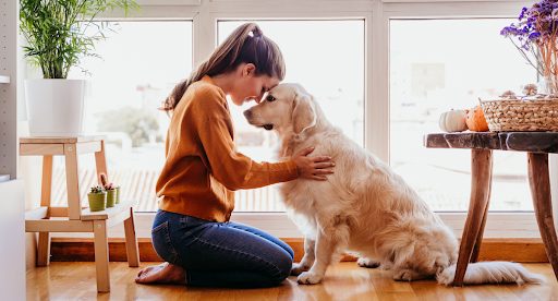 What To Do When A Pet Passes In Your Home