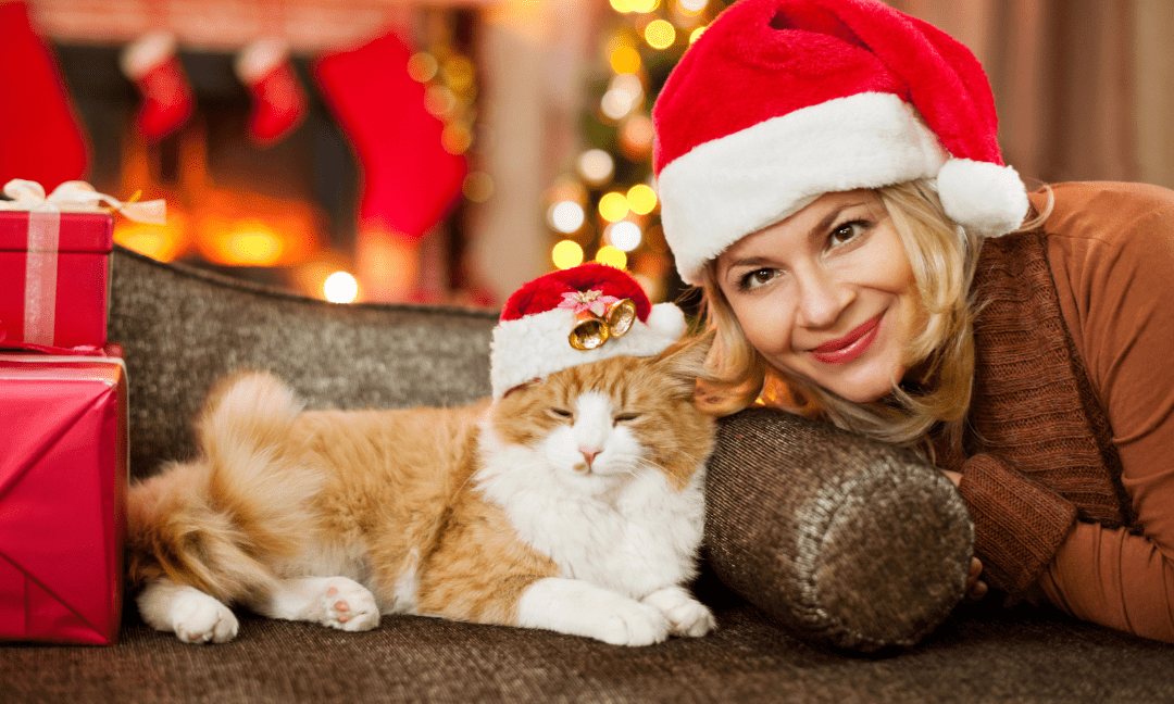 Keeping pets during the holidays