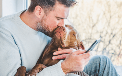 Preparing To Say Goodbye To A Beloved Pet: Benefits of Pre-Planning