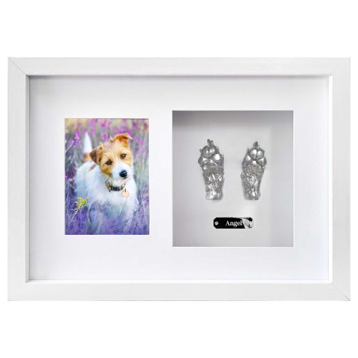Paw Casting - Shadow Box Frame