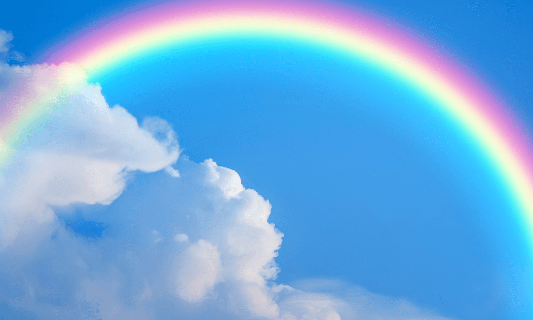 The Heartwarming History Of The Term Rainbow Bridge | Pet Angel