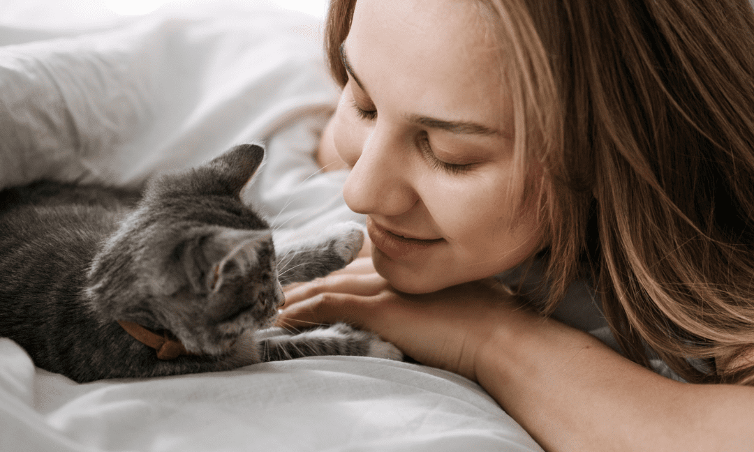 Behaviours of a Kitten to Look Out For