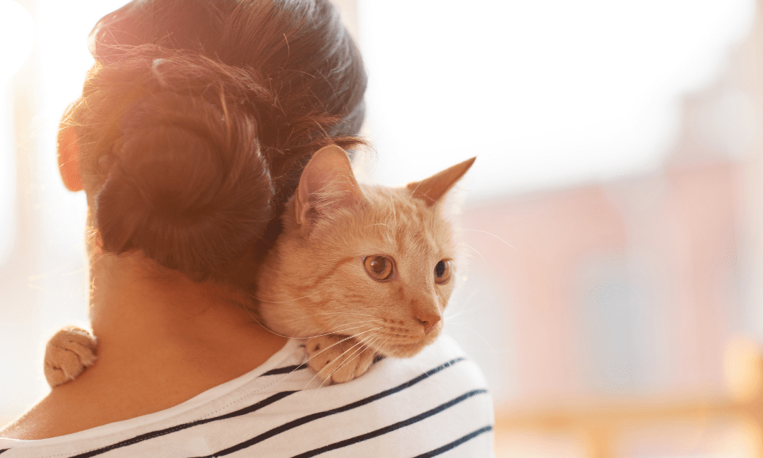 find meaning in the loss of your pet