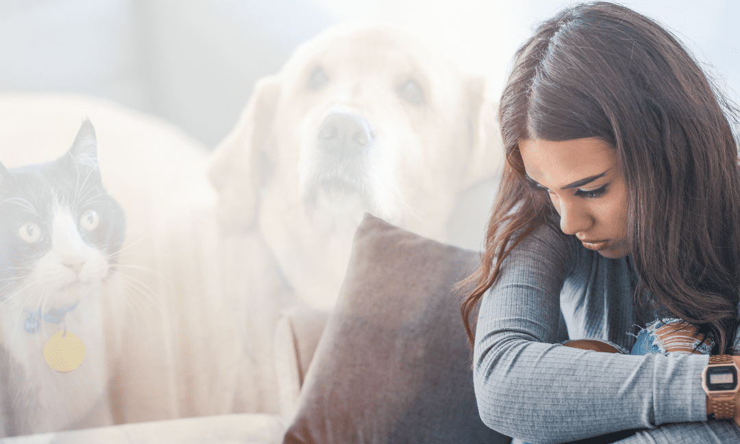 mental health tips for coping with losing a pet