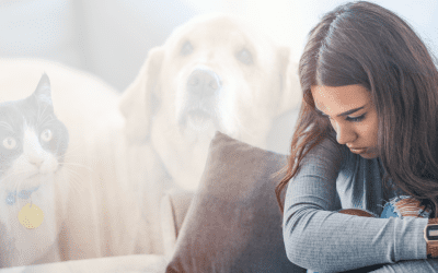 Mental Health Tips for Coping With Losing A Pet