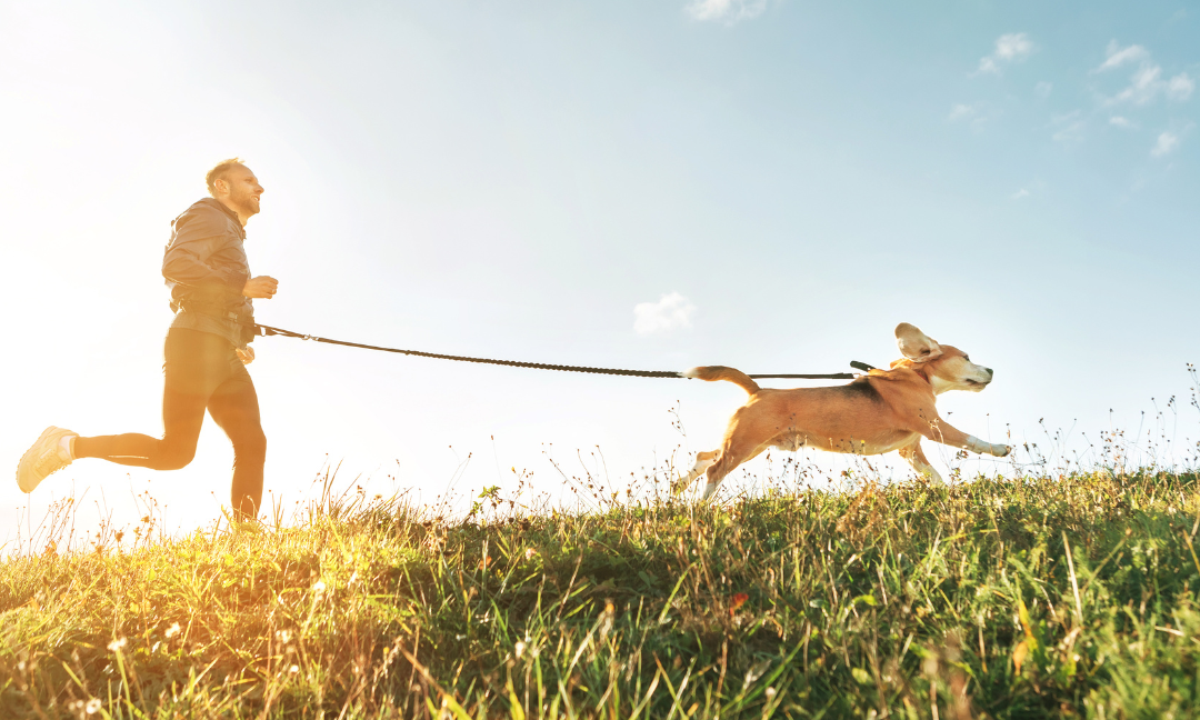 benefits of exercise for pets