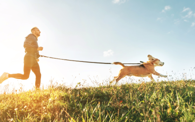 The Benefits of Exercise for Pets