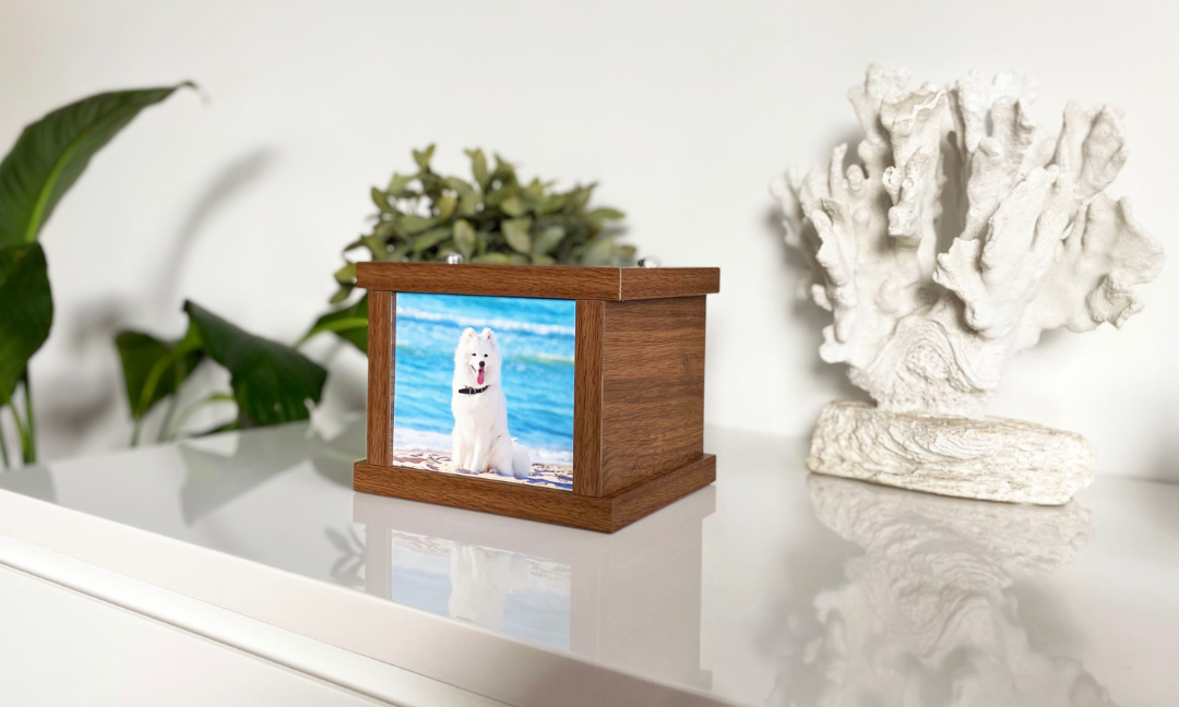 Top Misconceptions About Pet Cremation